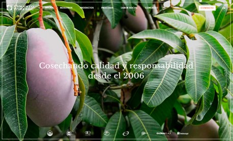 Previous Winner image