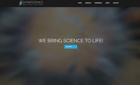 Previous Winner image