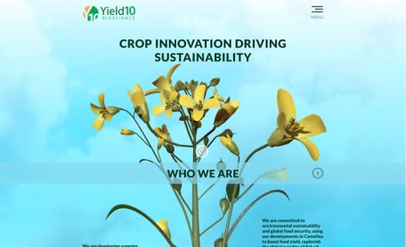 Previous Winner image