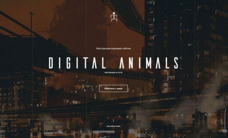 Previous Winner image