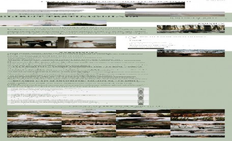 Previous Winner image