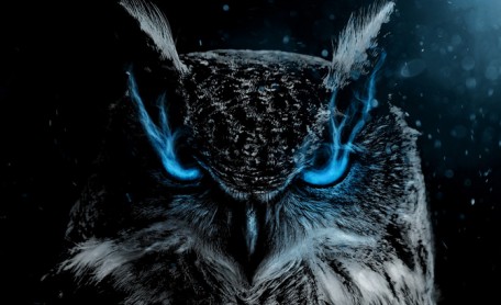 Previous Winner image