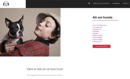 Previous Winner image