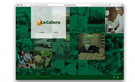 Previous Winner image